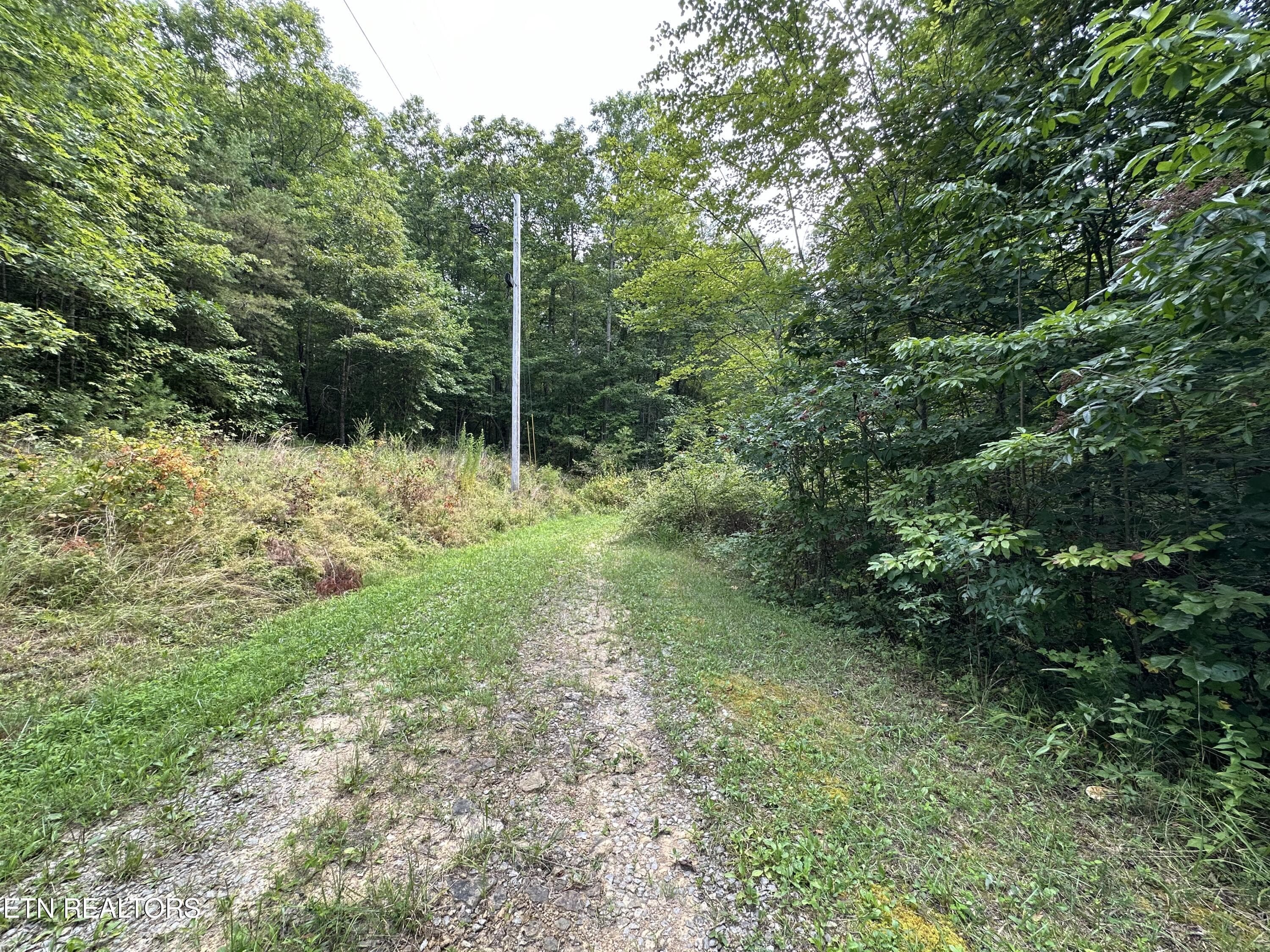IMG_6981 - Anthony Rd, Deer Lodge, TN 37726
