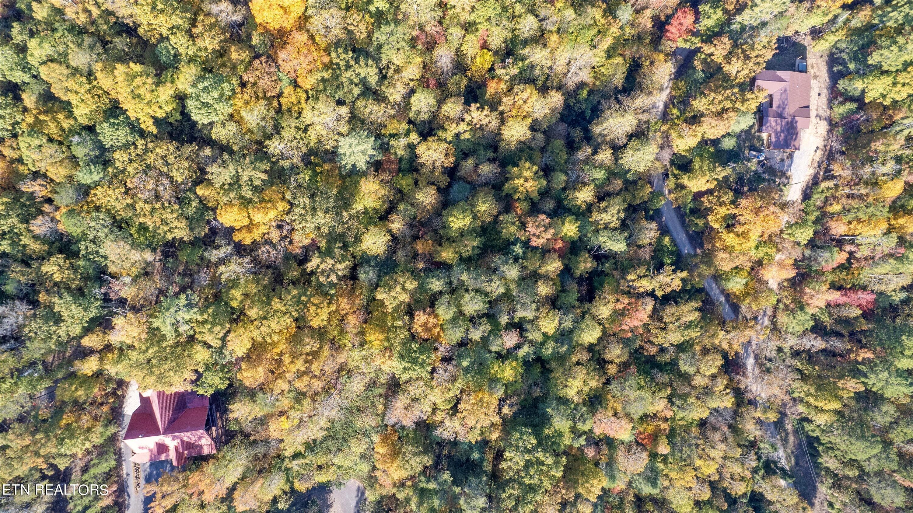01-DJI_0151 - Sulpher Springs Way, Sevierville, TN 37862