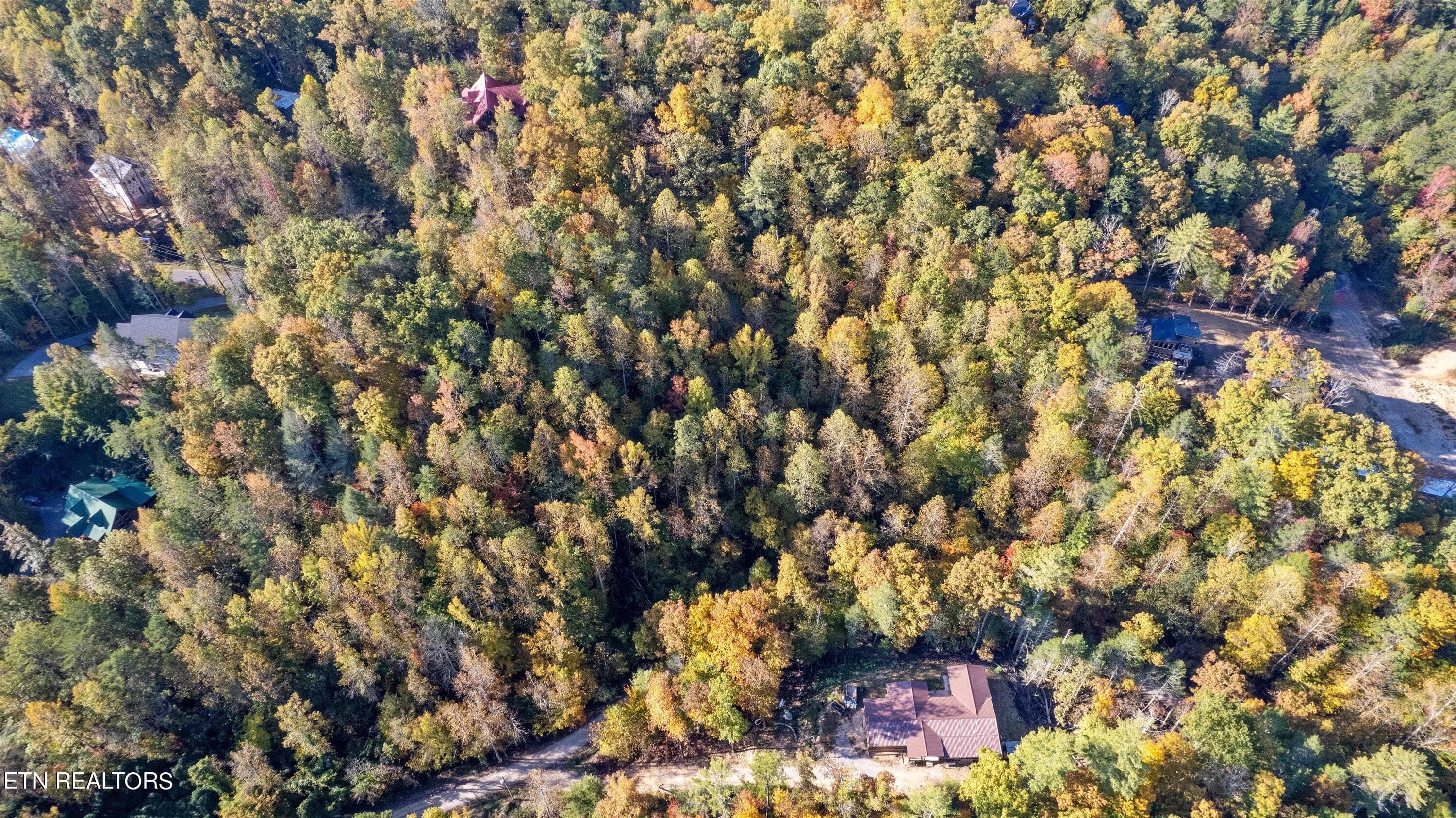 02-DJI_0154 - Sulpher Springs Way, Sevierville, TN 37862