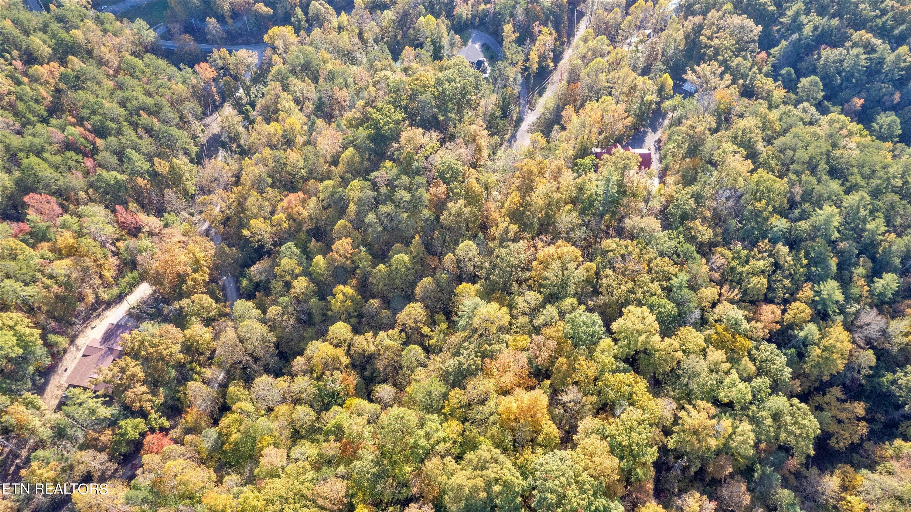 06-DJI_0160 - Sulpher Springs Way, Sevierville, TN 37862