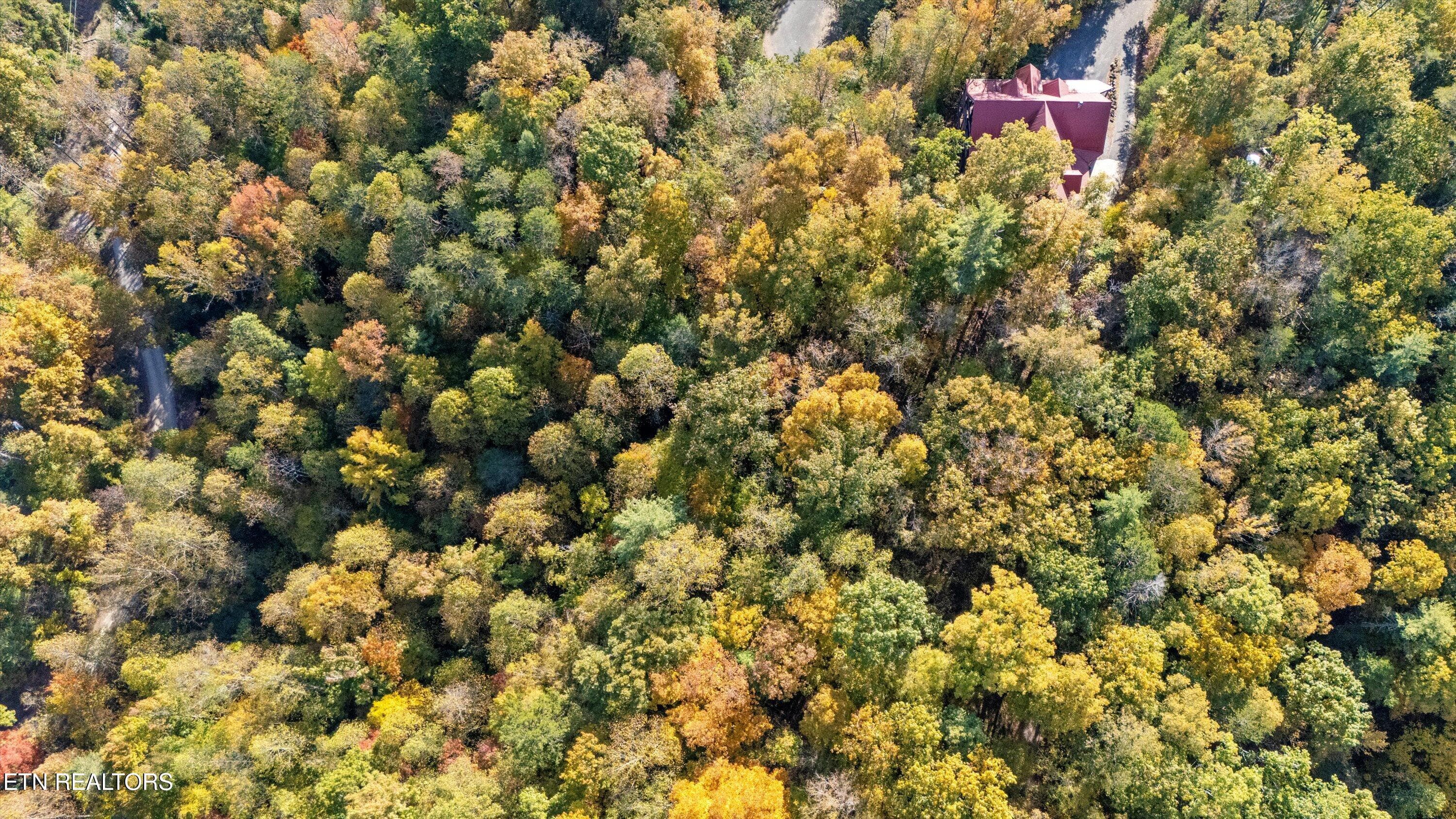 09-DJI_20240815105949_0015_D - Sulpher Springs Way, Sevierville, TN 37862