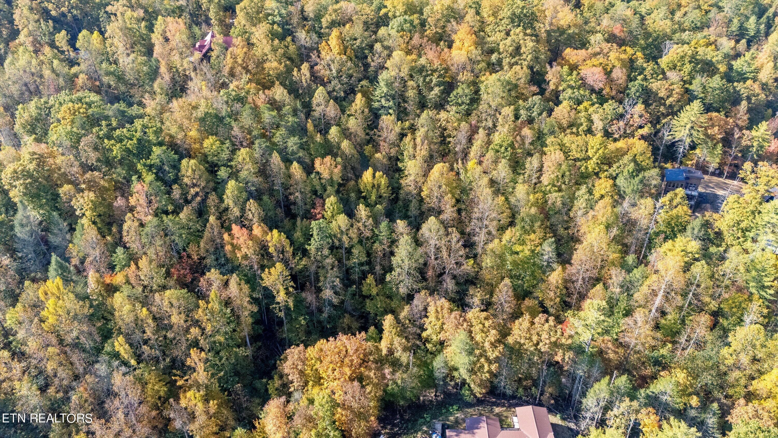 12-DJI_20240815110706_0011_D - Sulpher Springs Way, Sevierville, TN 37862