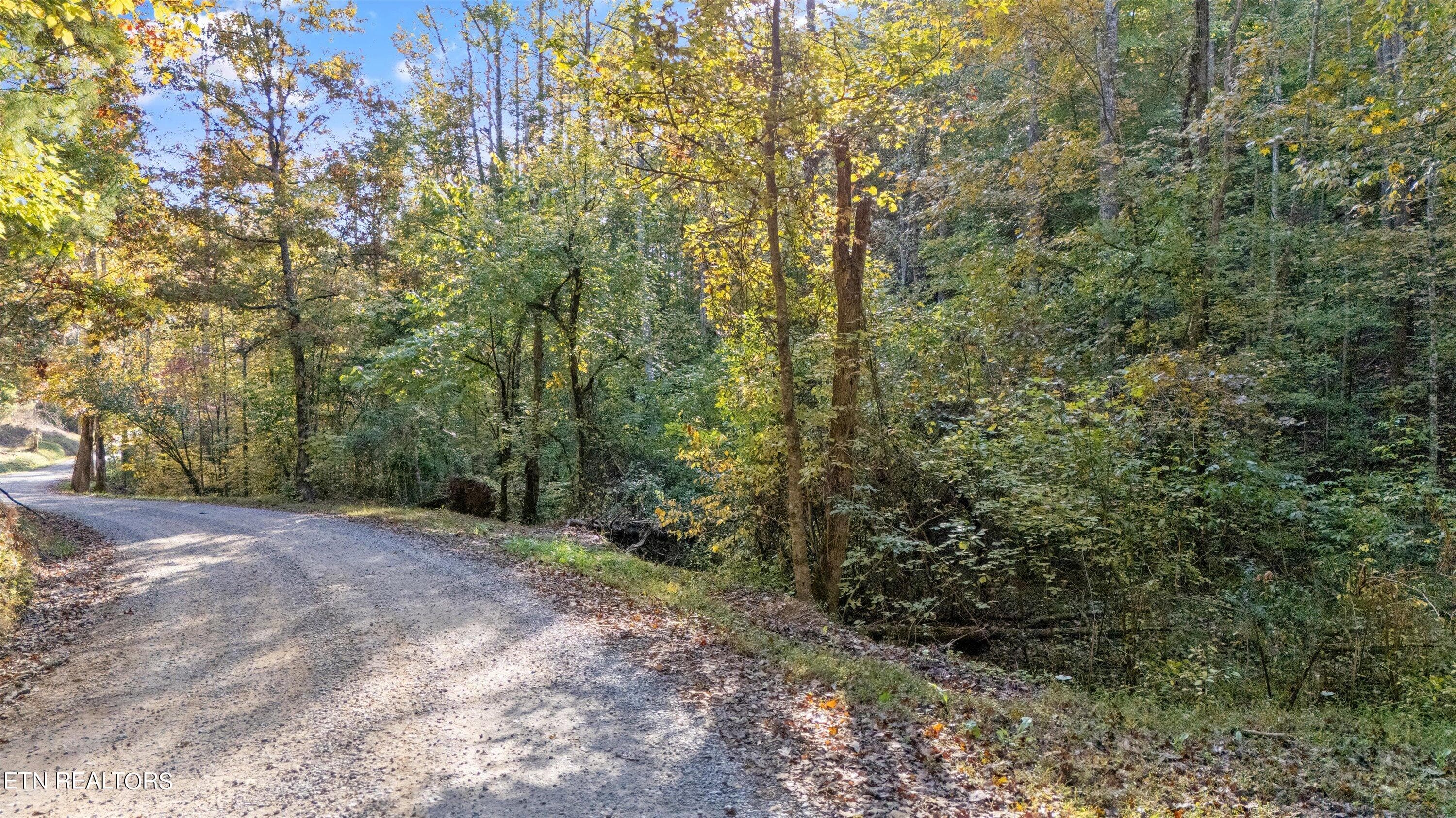 14-DJI_20240815105742_0012_D - Sulpher Springs Way, Sevierville, TN 37862