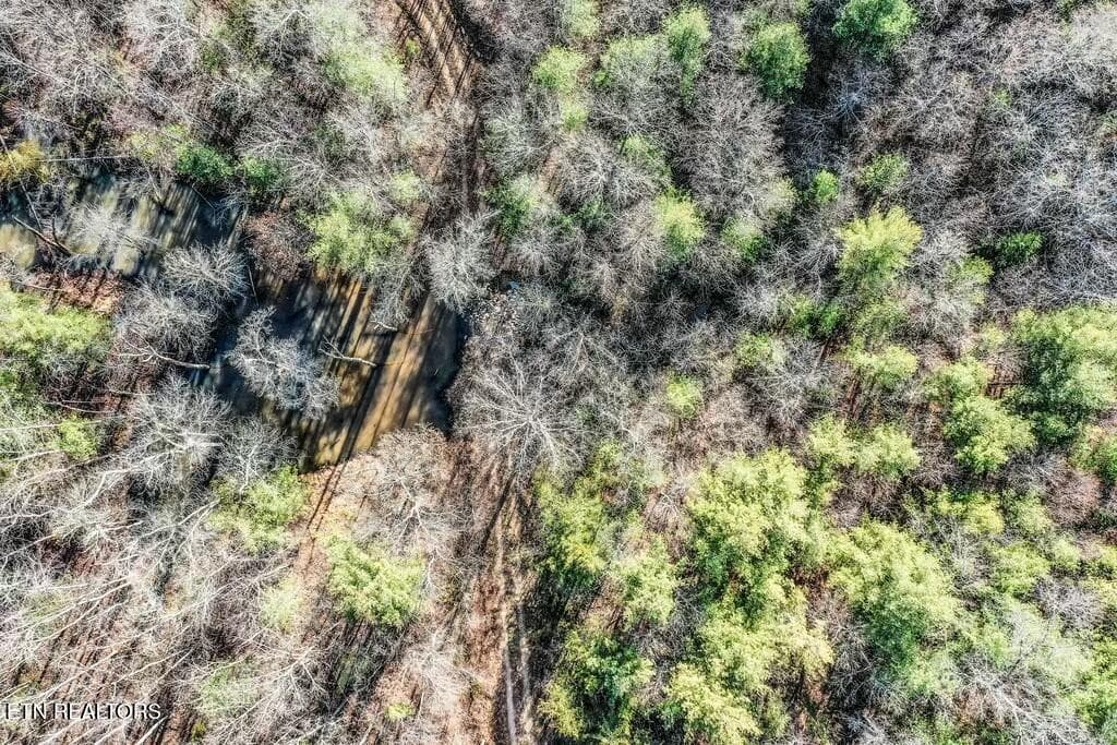 tempImageTLJxGp - Nashville Ave, Deer Lodge, TN 37726
