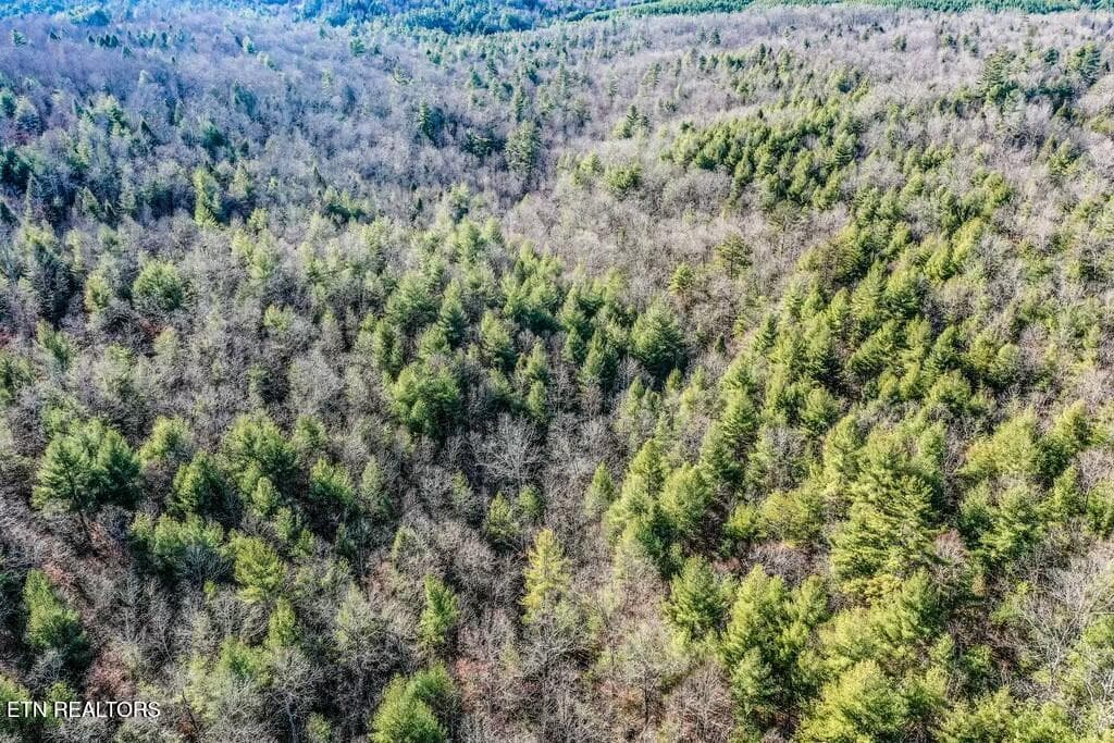 tempImageVlvJrn - Nashville Ave, Deer Lodge, TN 37726