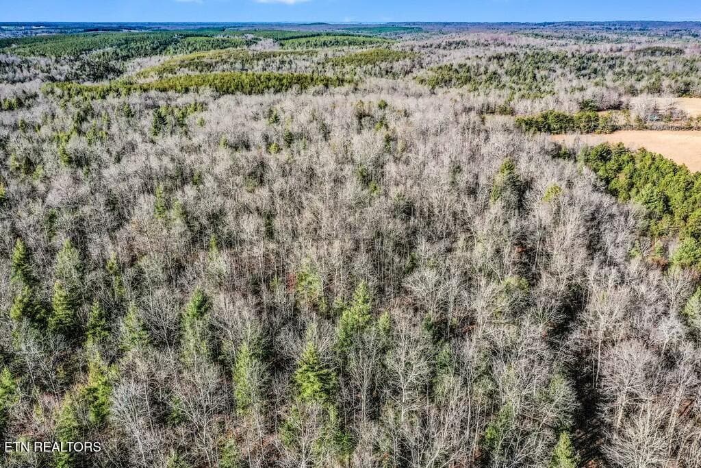 tempImagesBGNZr - Nashville Ave, Deer Lodge, TN 37726