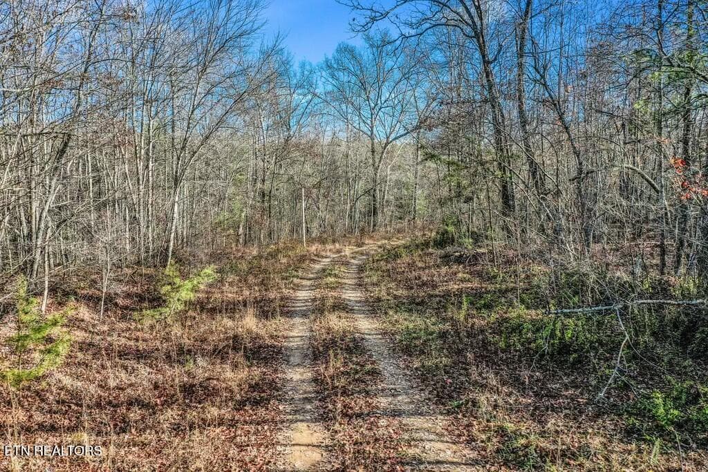 Nashville Ave, Deer Lodge, TN 37726