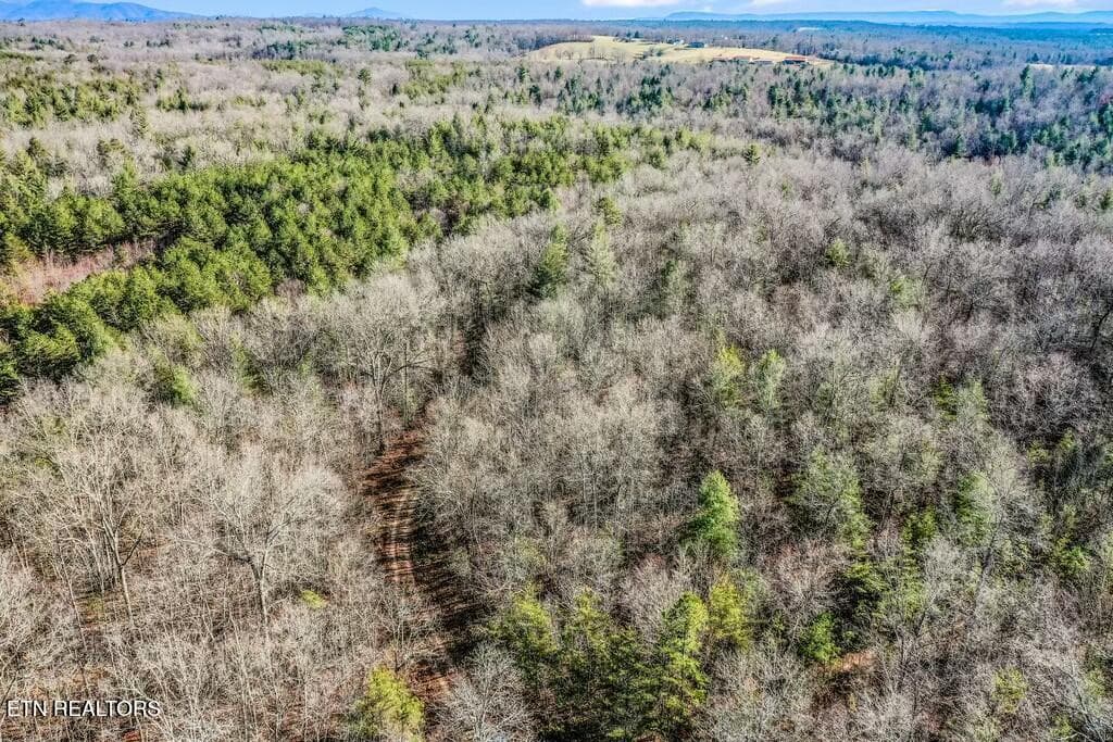 tempImagehGyVoK - Nashville Ave, Deer Lodge, TN 37726