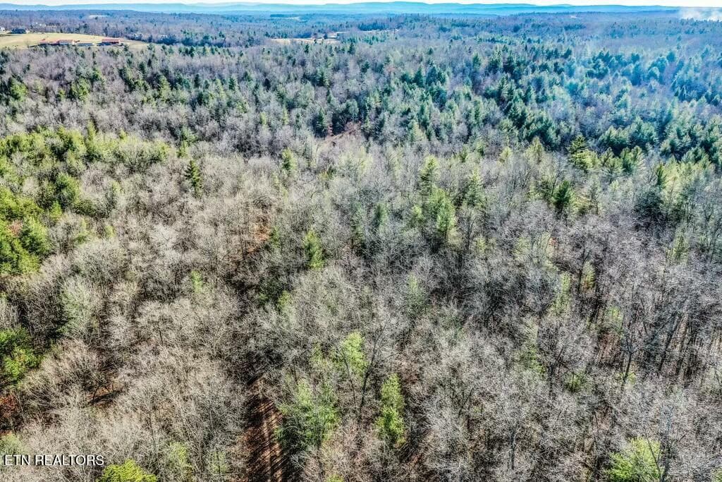 tempImageLCI30c - Nashville Ave, Deer Lodge, TN 37726