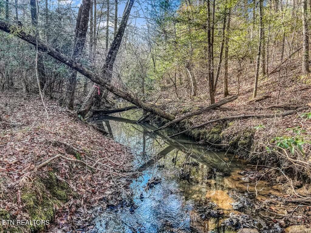 tempImageJBc75q - Nashville Ave, Deer Lodge, TN 37726