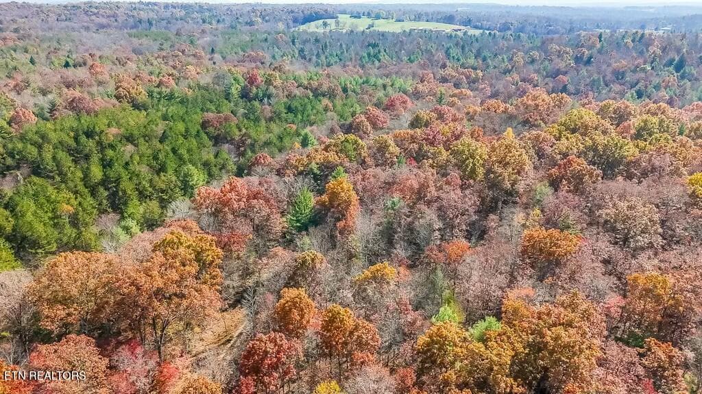 tempImageYMdTe6 - Nashville Ave, Deer Lodge, TN 37726