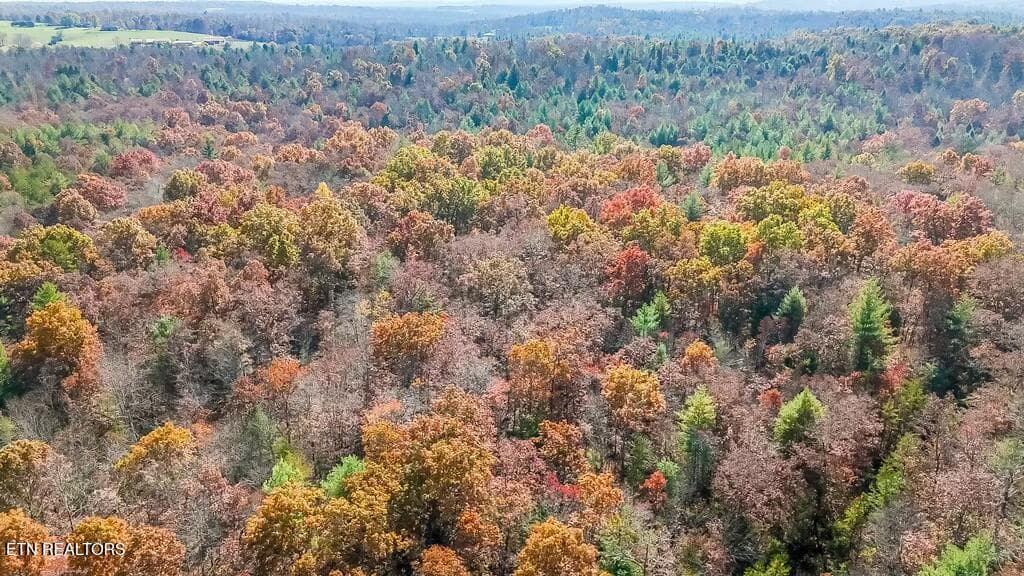 tempImageYRC465 - Nashville Ave, Deer Lodge, TN 37726