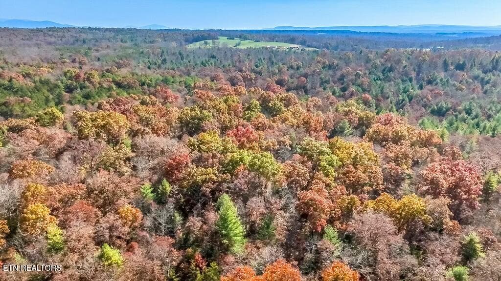 tempImagemvm1WB - Nashville Ave, Deer Lodge, TN 37726