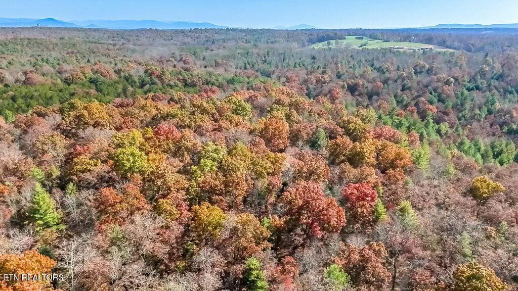tempImageOHLig0 - Nashville Ave, Deer Lodge, TN 37726