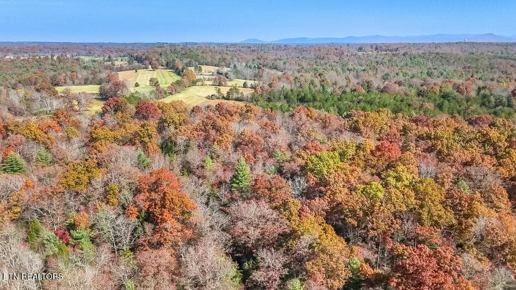 tempImageF2z201 - Nashville Ave, Deer Lodge, TN 37726