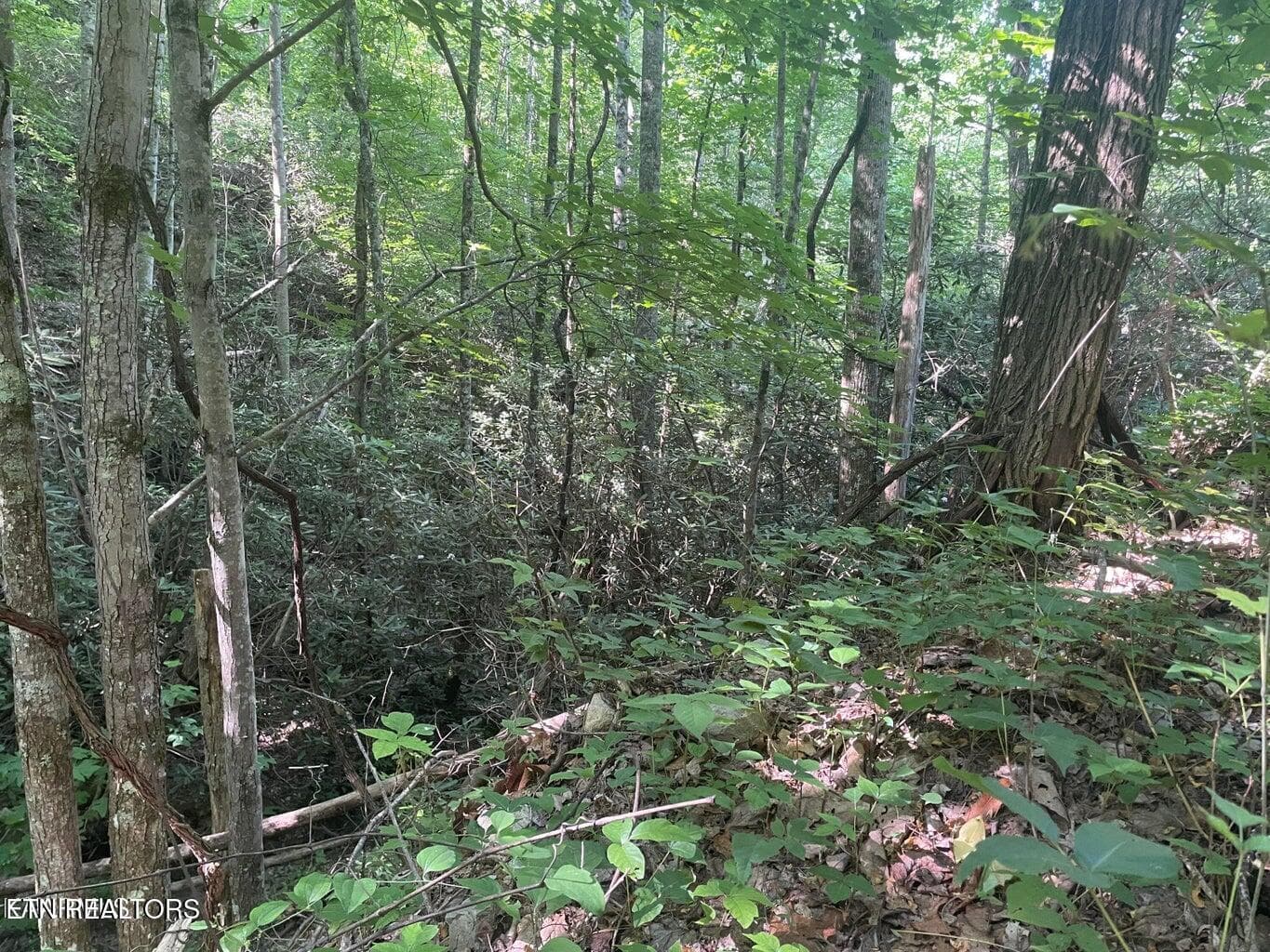 20220622180726973093000000-o - Lot 1 Sycamore St, Sevierville, TN 37876