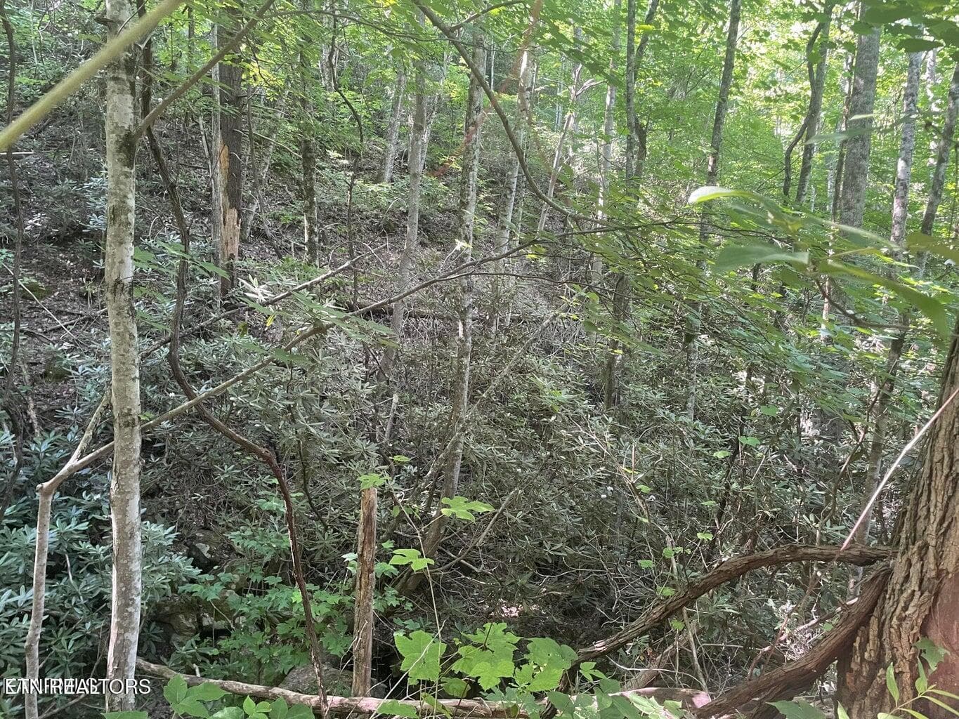 20220622180737173745000000-o - Lot 1 Sycamore St, Sevierville, TN 37876