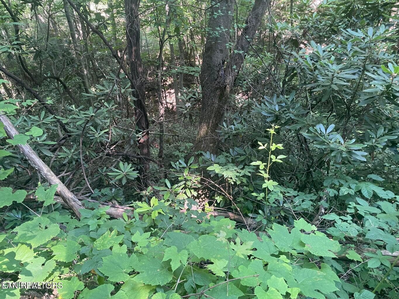 20220622180746424311000000-o - Lot 1 Sycamore St, Sevierville, TN 37876