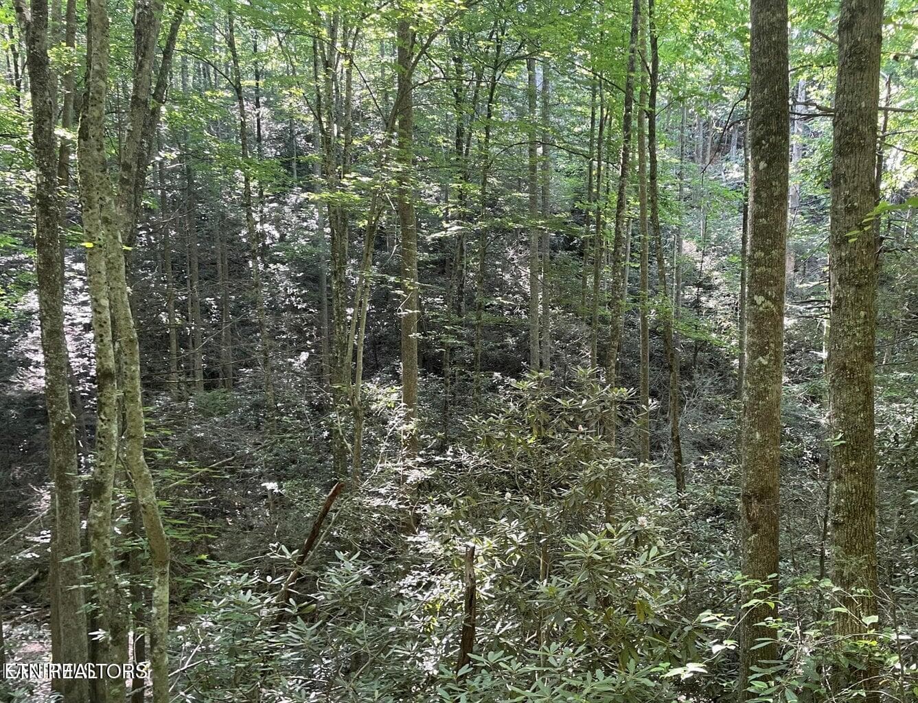 Lot 70 Hazelnut Lane, Sevierville, TN 37876