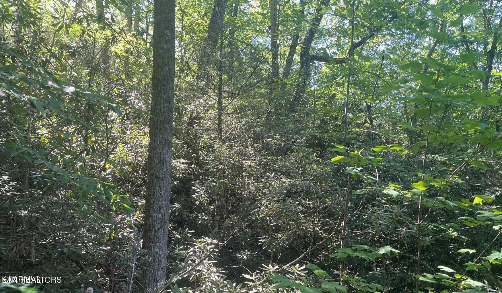 20220628152440019963000000-o - Lot 70 Hazelnut Lane, Sevierville, TN 37876