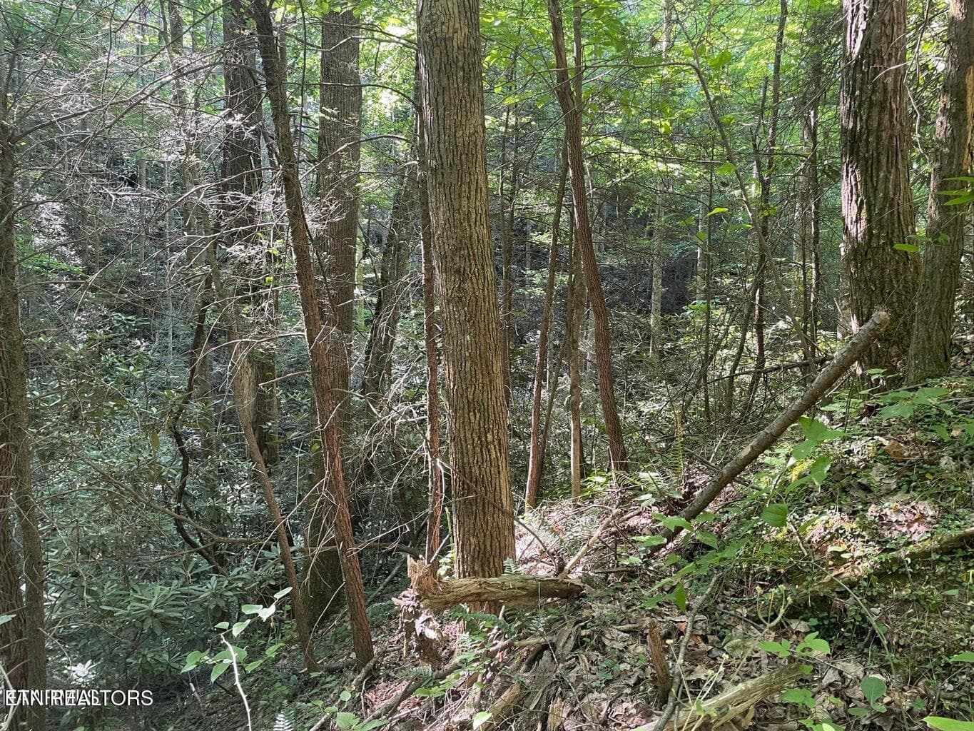 20220622180313081438000000-o - Lot 76 Sycamore St, Sevierville, TN 37876