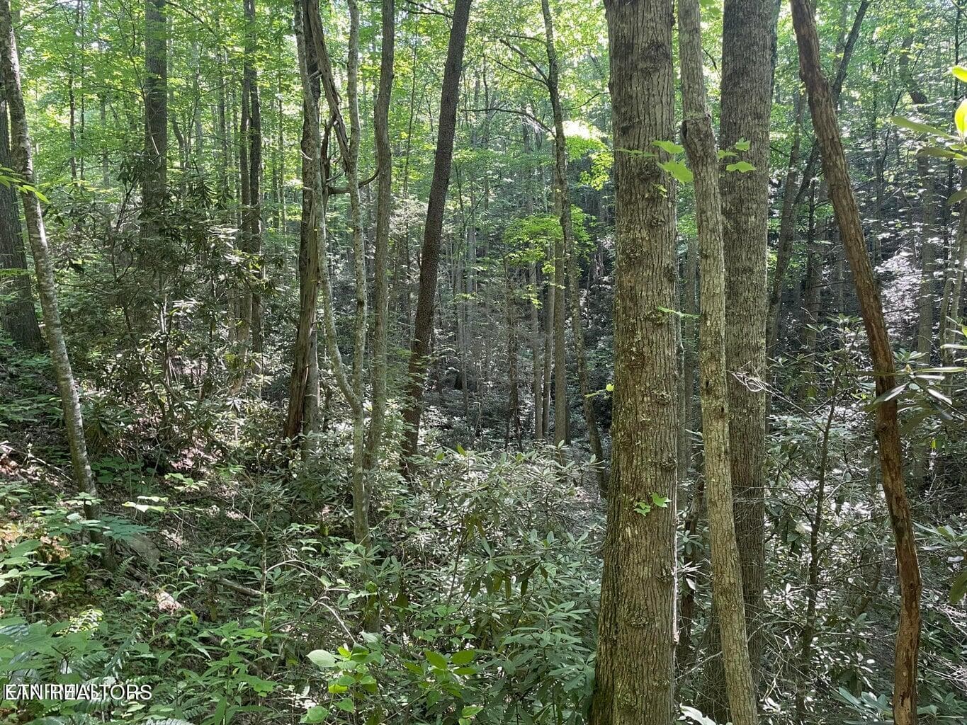 20220622180329576803000000-o - Lot 76 Sycamore St, Sevierville, TN 37876