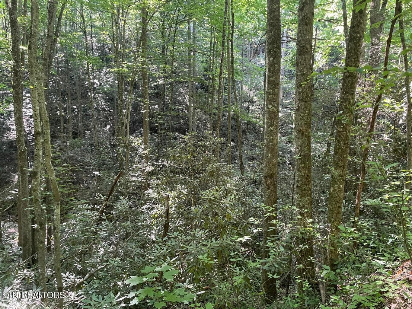 20220622180342671548000000-o - Lot 76 Sycamore St, Sevierville, TN 37876