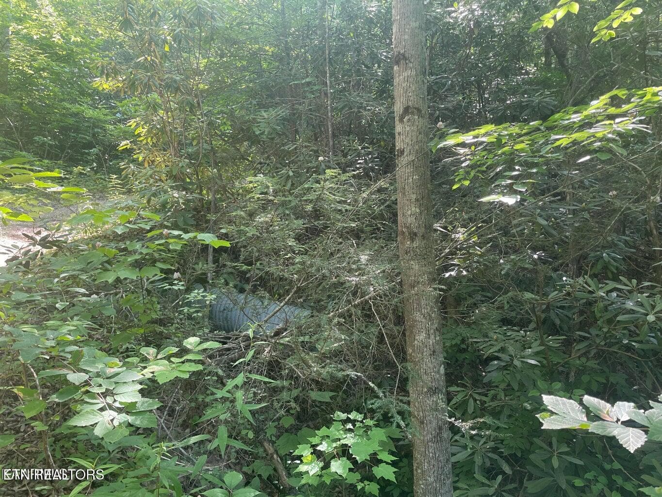 20220622180352604249000000-o - Lot 76 Sycamore St, Sevierville, TN 37876