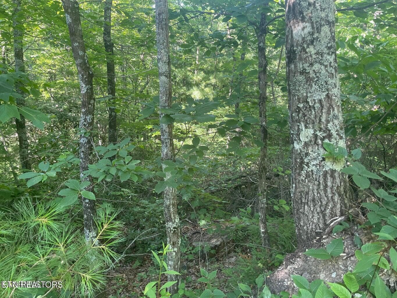 20220622182823162981000000-o - Lot 89 Sycamore St, Sevierville, TN 37876