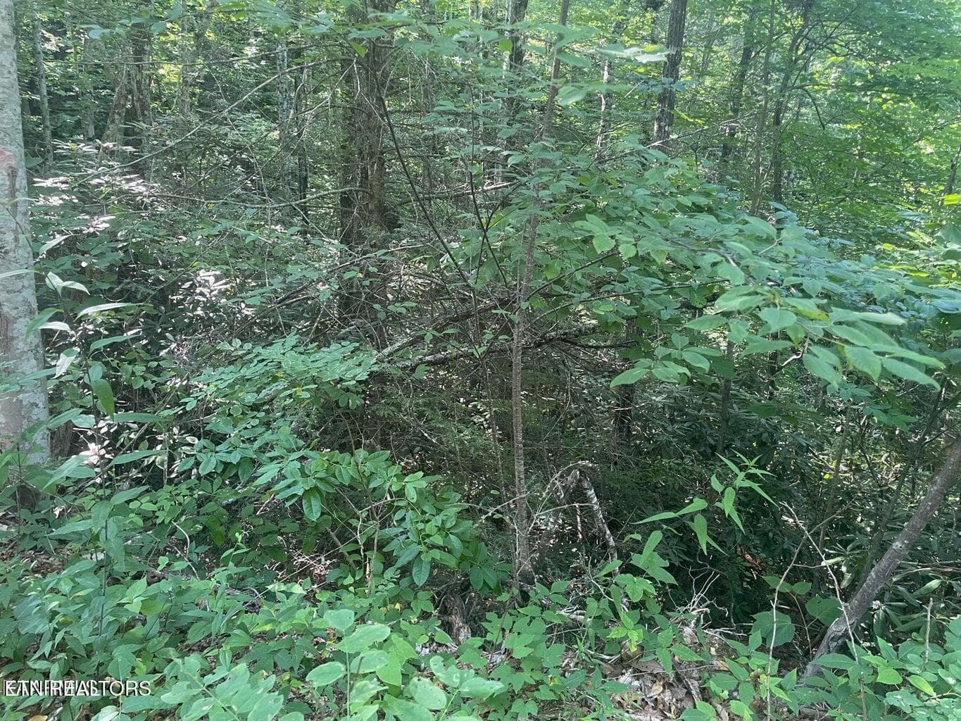 20220622182905948912000000-o - Lot 89 Sycamore St, Sevierville, TN 37876