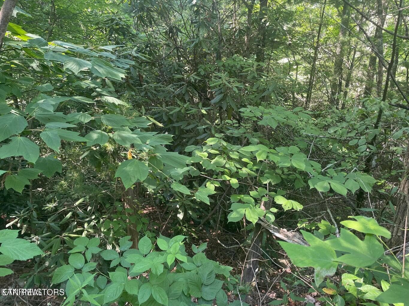 20220622182917700816000000-o - Lot 89 Sycamore St, Sevierville, TN 37876