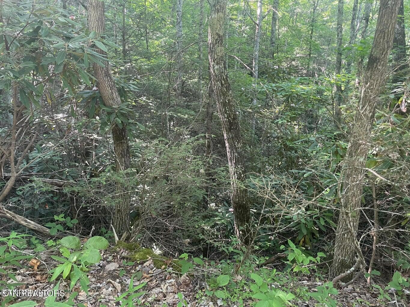 20220622182931609124000000-o - Lot 89 Sycamore St, Sevierville, TN 37876