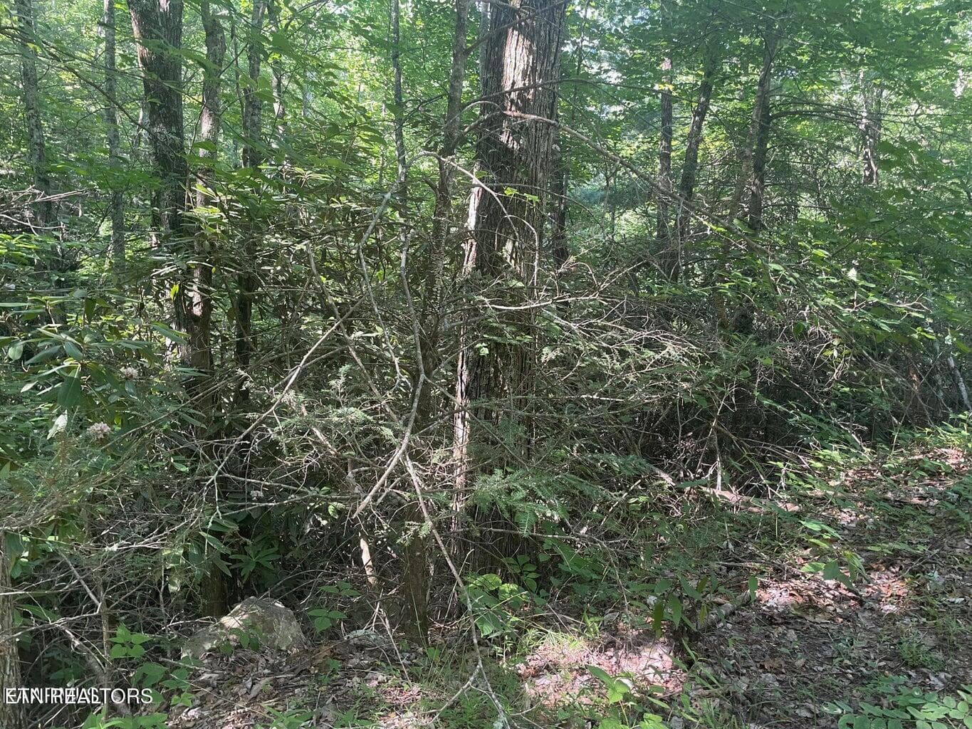 20220622182945873422000000-o - Lot 89 Sycamore St, Sevierville, TN 37876