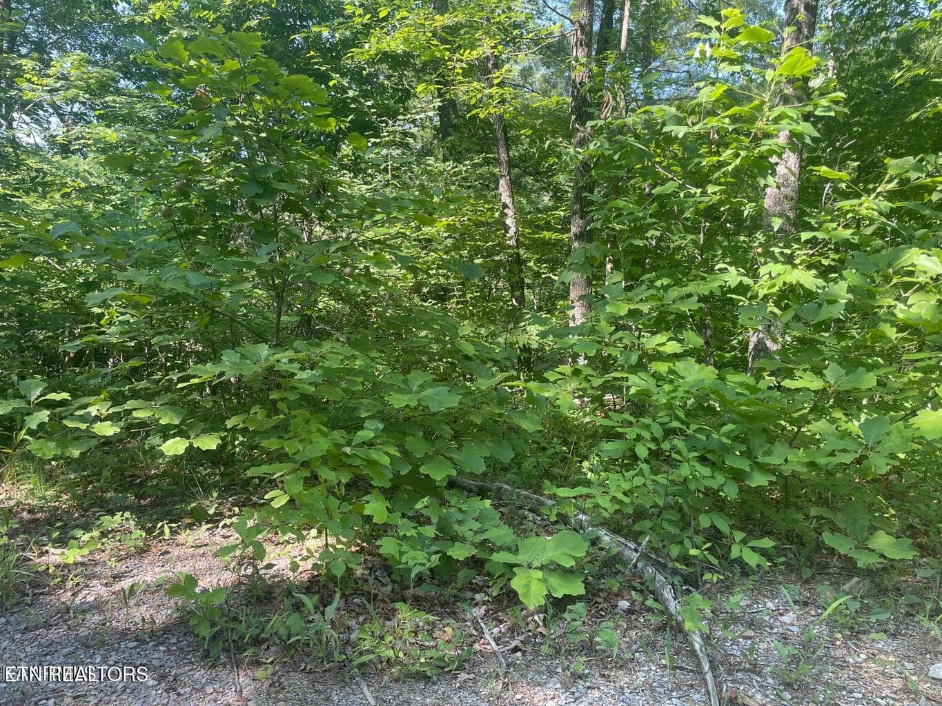 20220624164650915582000000-o - Lot 69 Sycamore St, Sevierville, TN 37876