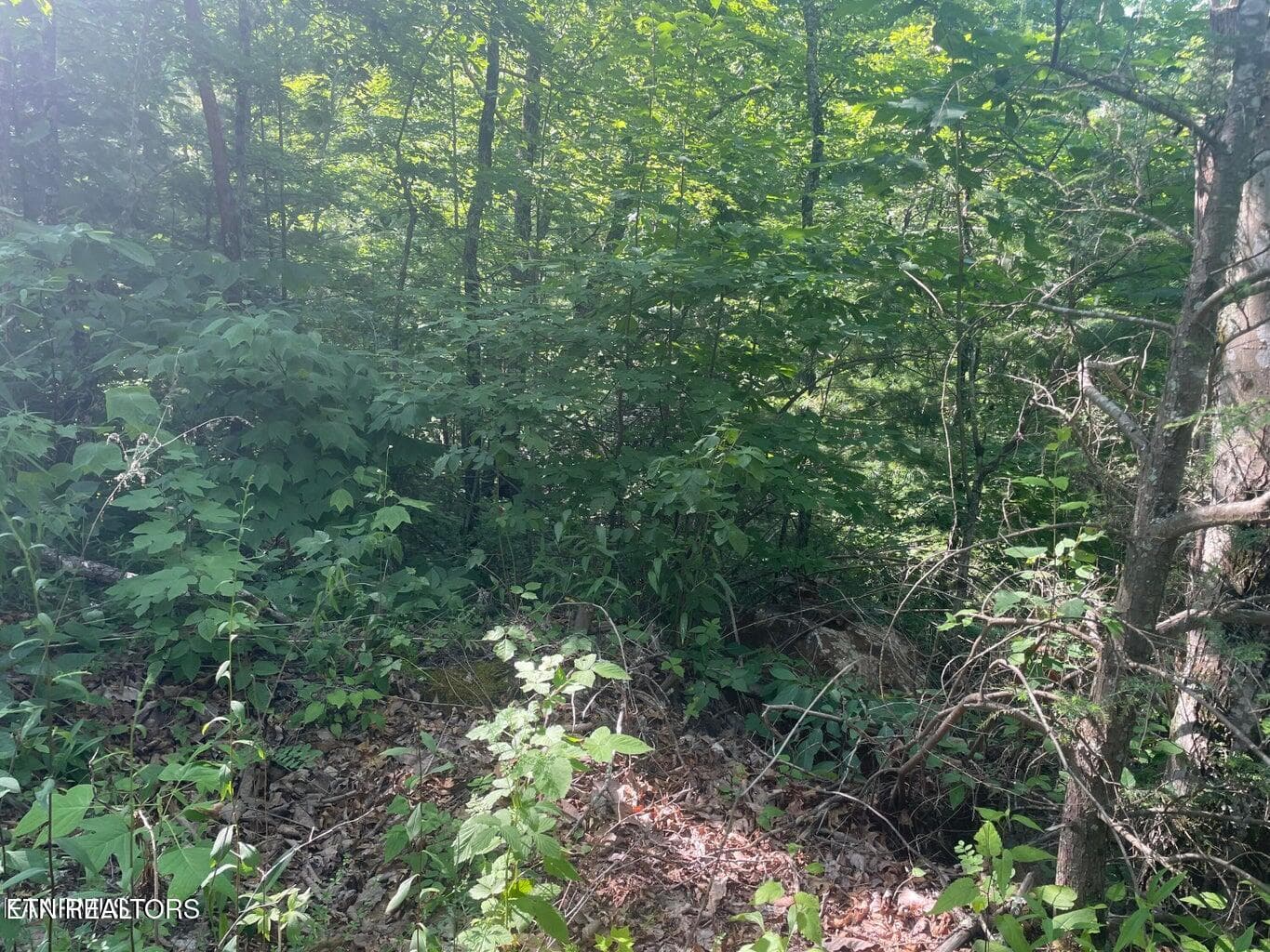 20220624164817574205000000-o - Lot 69 Sycamore St, Sevierville, TN 37876