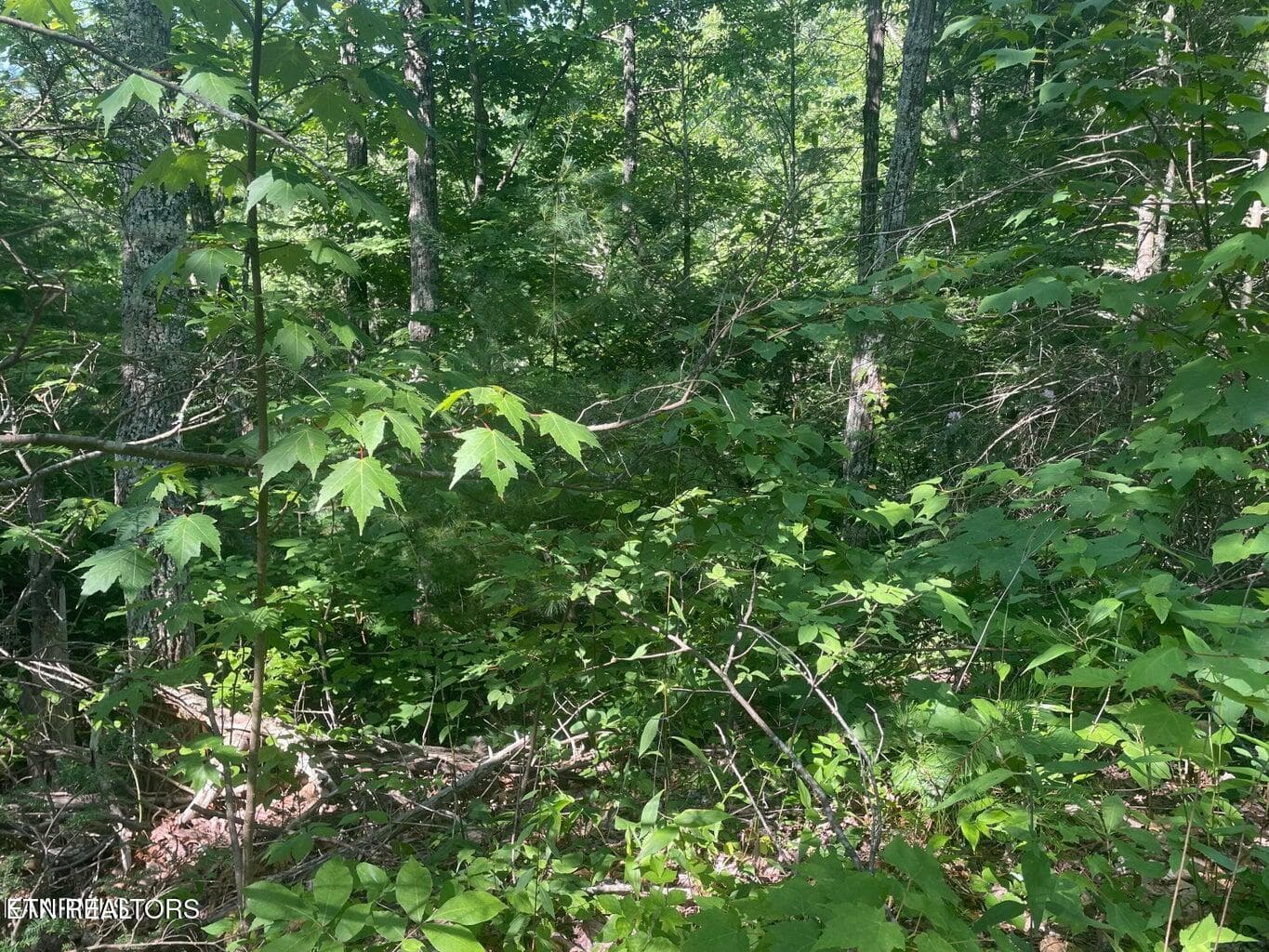 20220624164833357299000000-o - Lot 69 Sycamore St, Sevierville, TN 37876