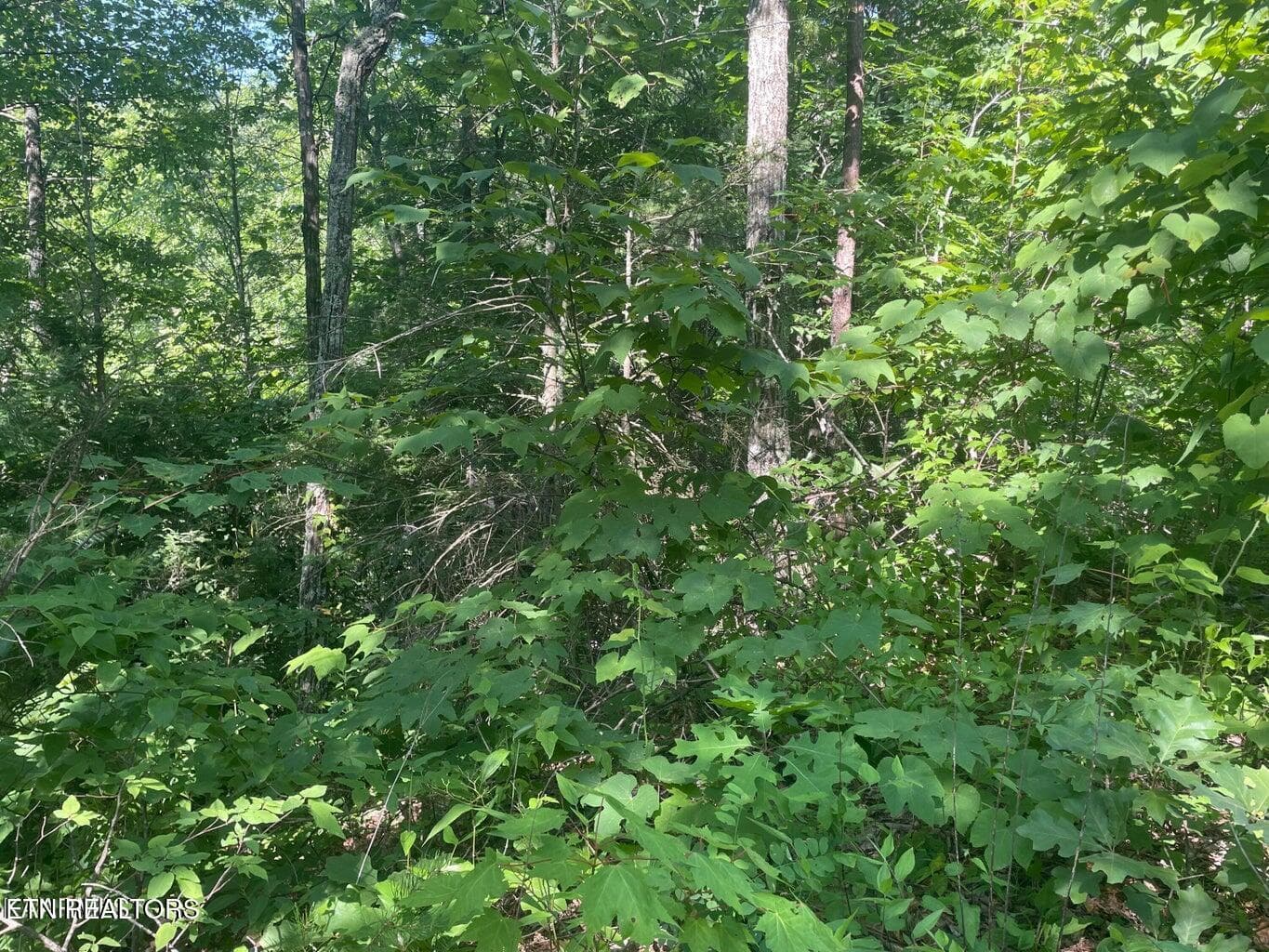20220624164845910868000000-o - Lot 69 Sycamore St, Sevierville, TN 37876