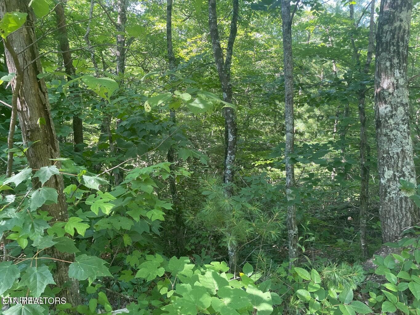 20220624164858251751000000-o - Lot 69 Sycamore St, Sevierville, TN 37876