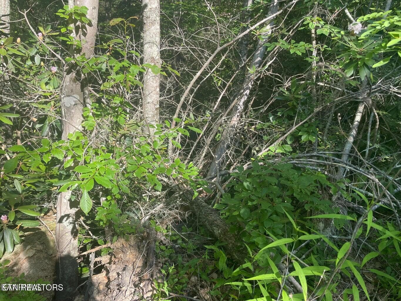 20220622181552355676000000-o - Lot 68 Sycamore St, Sevierville, TN 37876