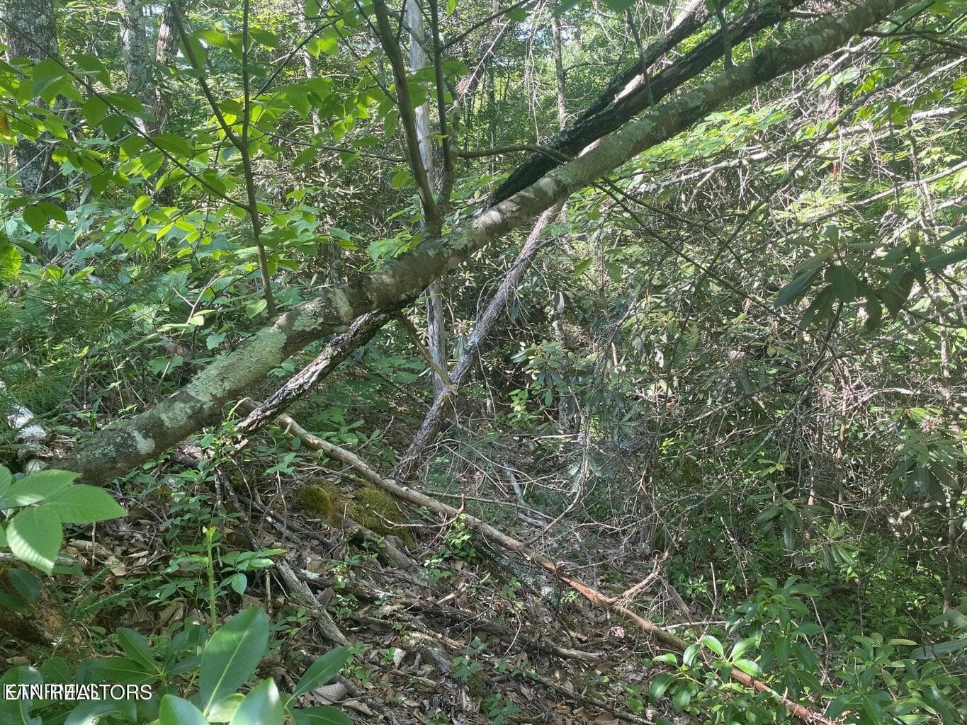 20220622181604708436000000-o - Lot 68 Sycamore St, Sevierville, TN 37876