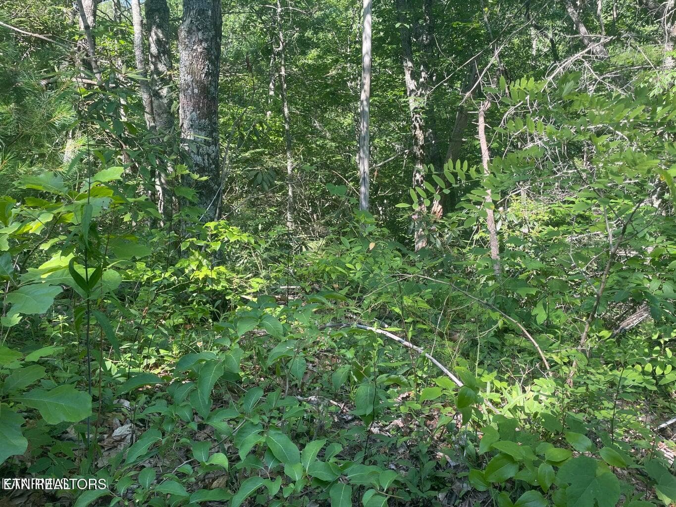 20220622181619557371000000-o - Lot 68 Sycamore St, Sevierville, TN 37876