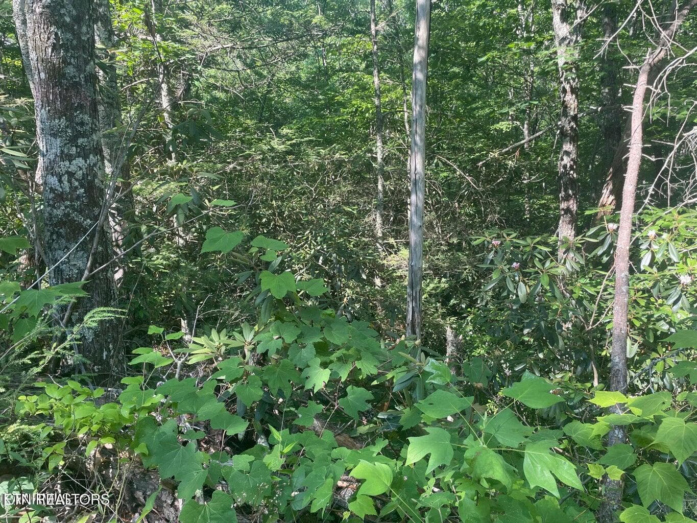 20220622181634209034000000-o - Lot 68 Sycamore St, Sevierville, TN 37876