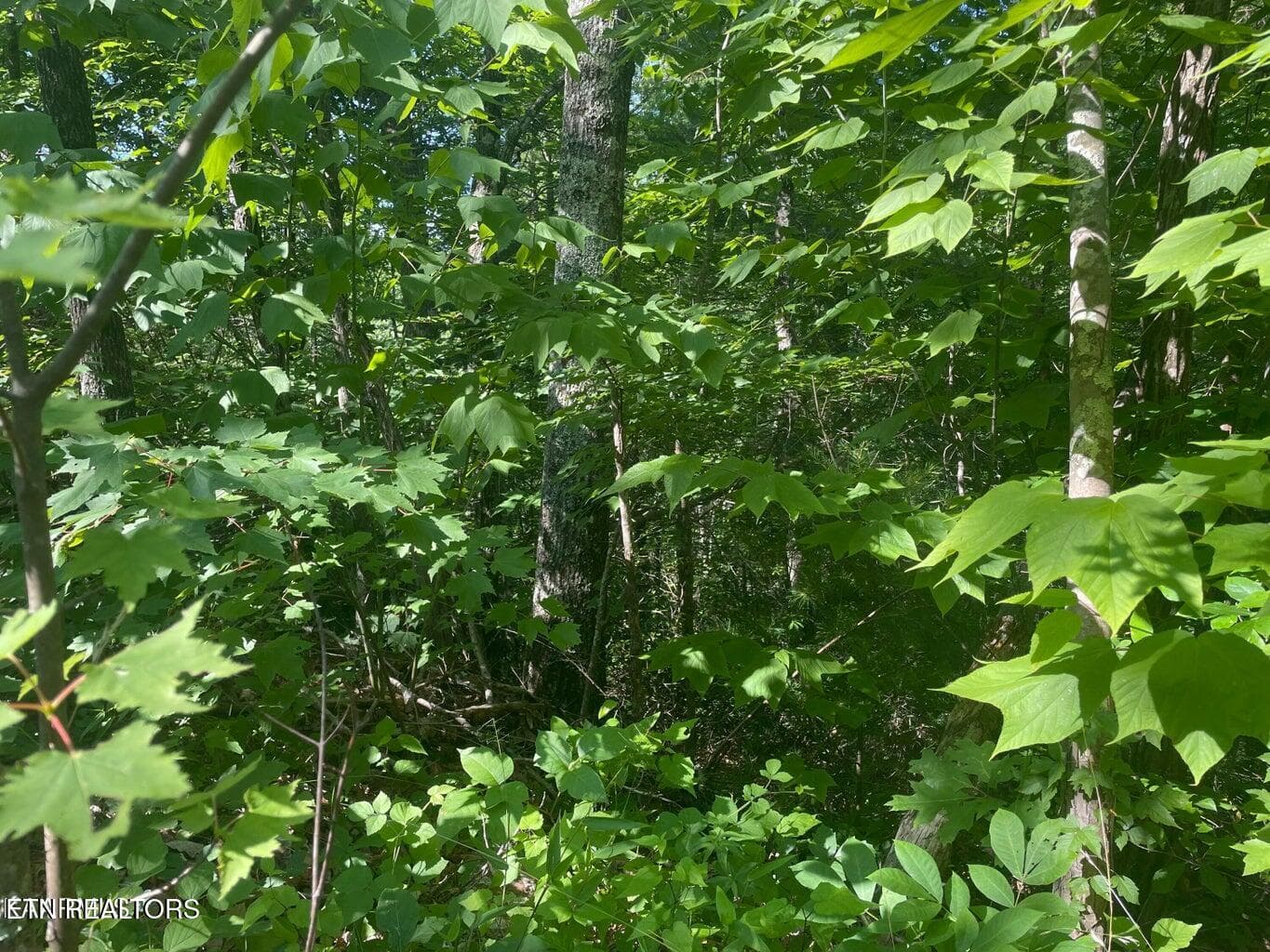 20220622181836420284000000-o - Lot 68 Sycamore St, Sevierville, TN 37876