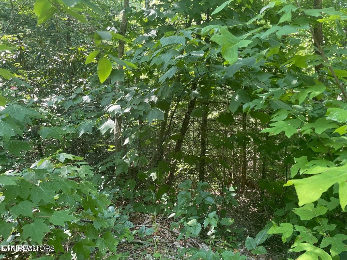 20220628153106142614000000-o - Lot 71 Hazelnut Lane, Sevierville, TN 37876