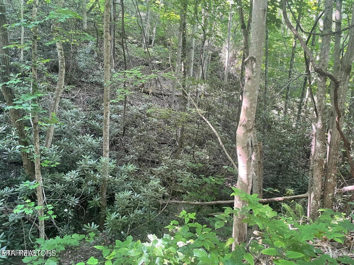 20220628153124359066000000-o - Lot 71 Hazelnut Lane, Sevierville, TN 37876
