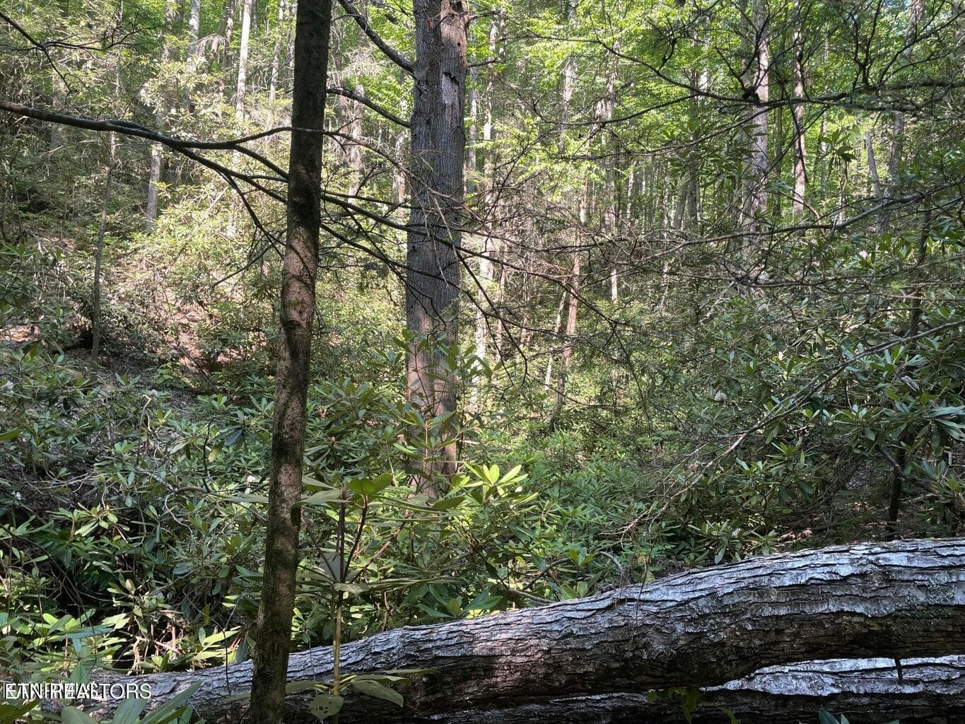 20220622180900920871000000-o - Lot 6 Sycamore St, Sevierville, TN 37876