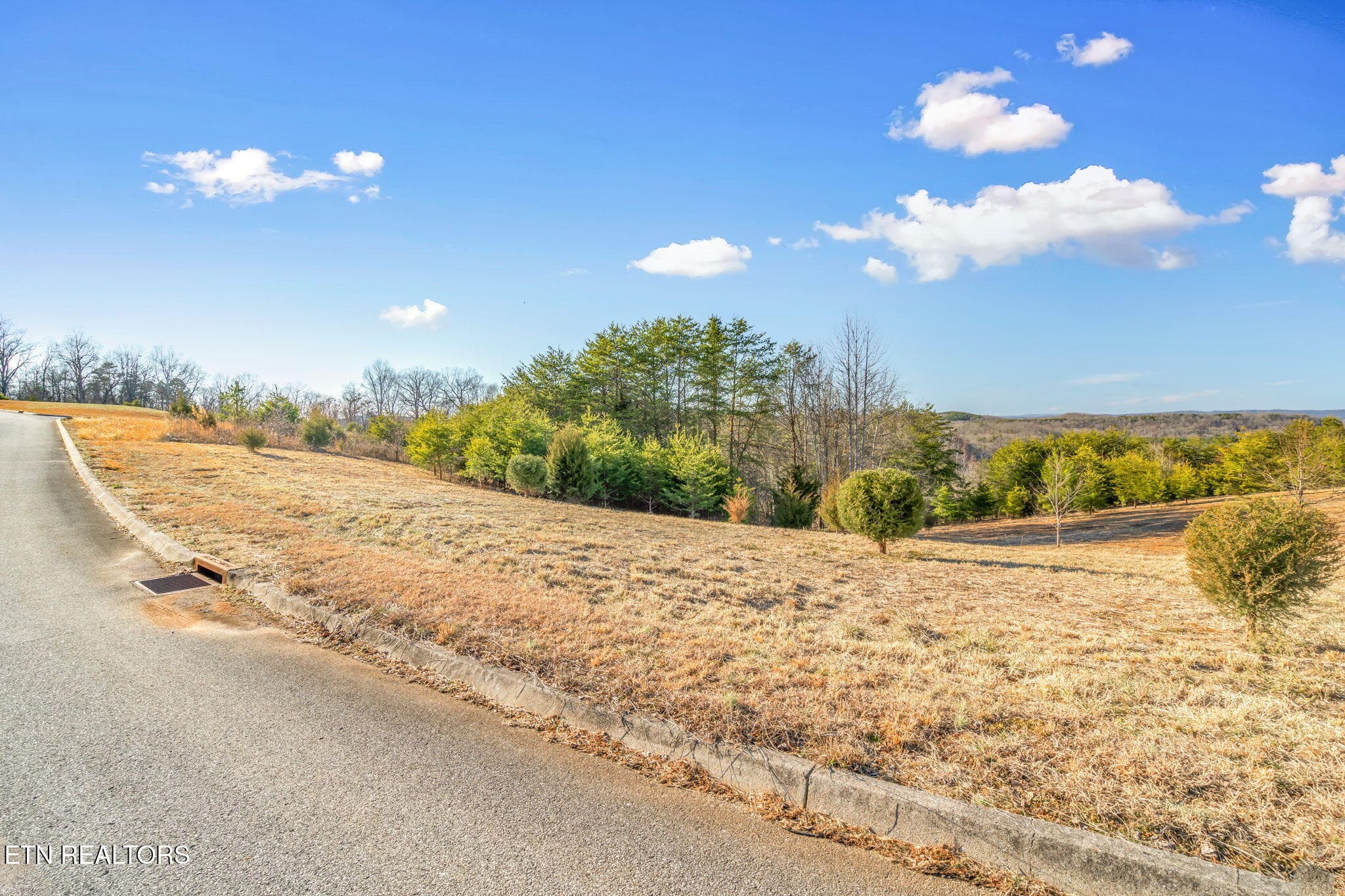 24-web-or-mls-Lot 33 Melea Lane - Melea Lane, Kingston, TN 37763