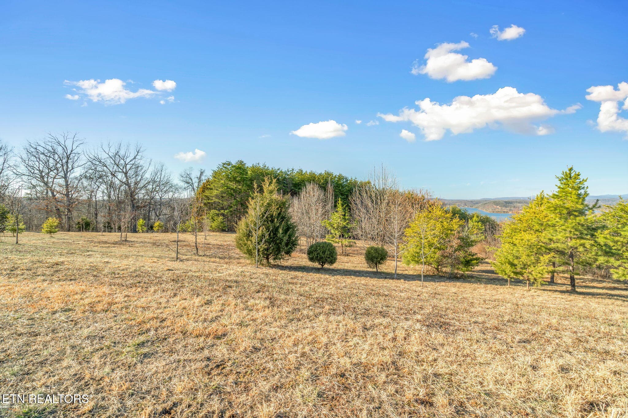 7-web-or-mls-Lot 35 Melea Lane-8 - Melea Lane, Kingston, TN 37763