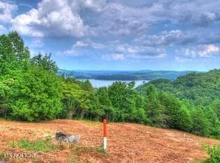 IS6eyhpbfohj921000000000 - Lot 406 Flint Ridge Rd, Rockwood, TN 37854