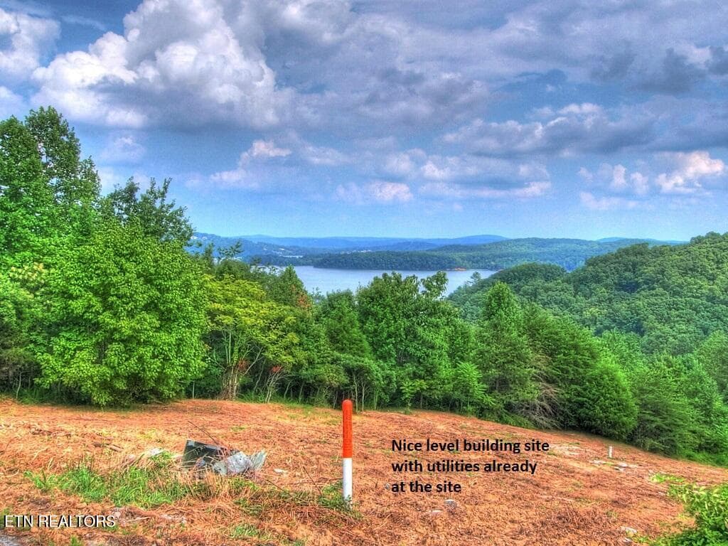 IS6eyhpbfohj921000000000 (1) - Lot 406 Flint Ridge Rd, Rockwood, TN 37854